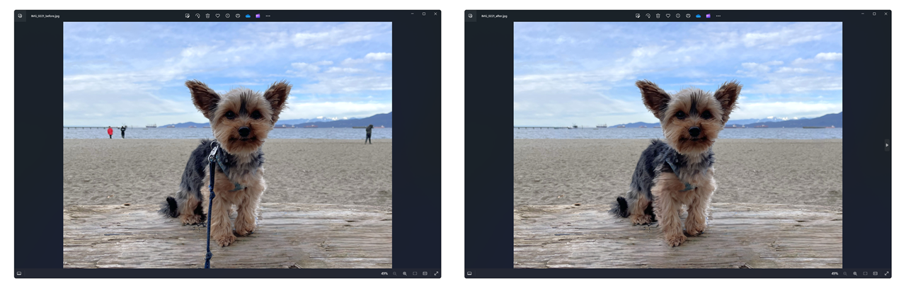 Windows 10/11自带的照片应用获得新AI功能 快速去除图片中的内容